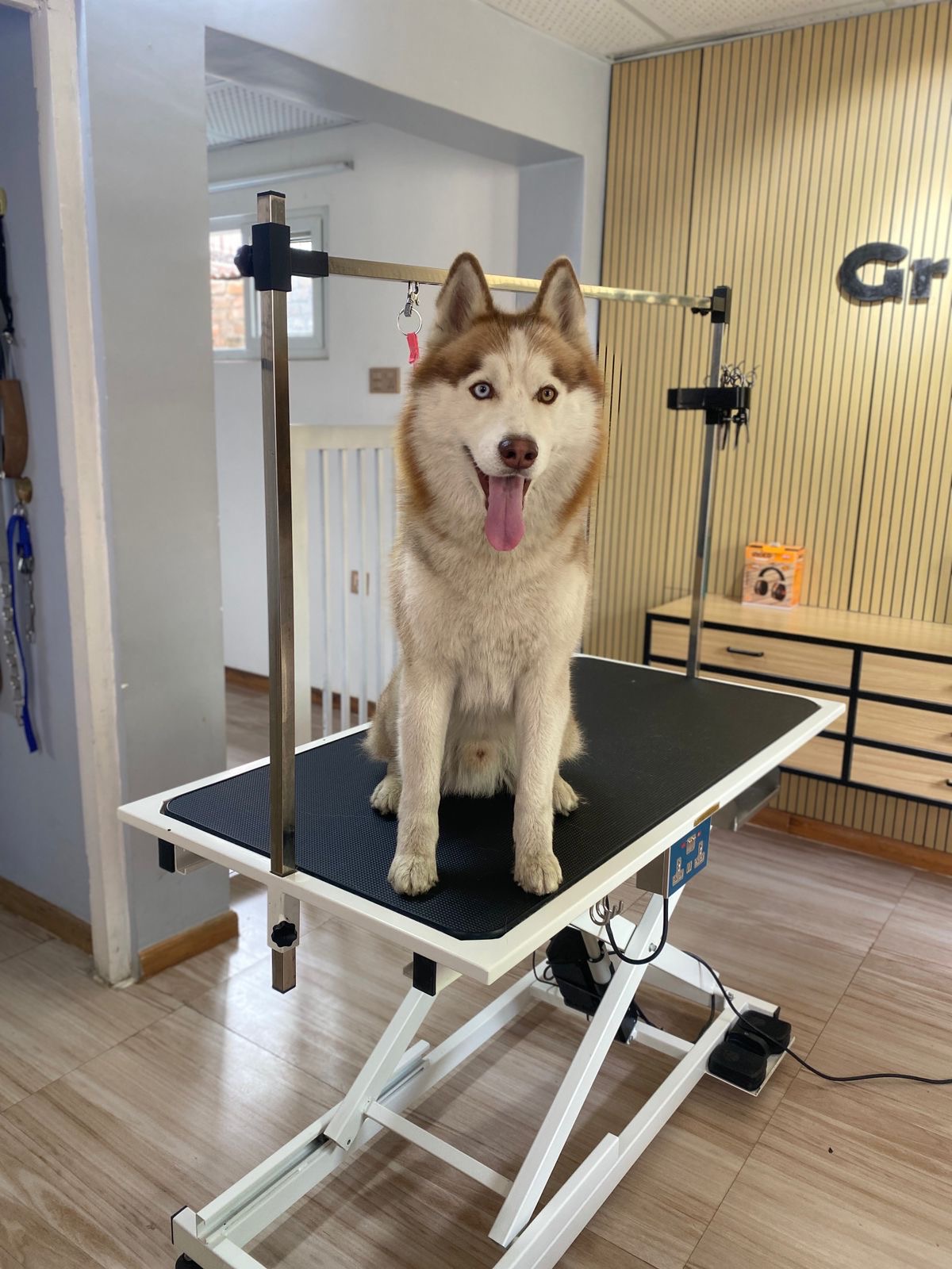 Husky