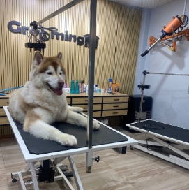 Double Coat De-Shedding Treatment